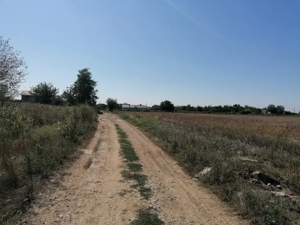 Oportunitate teren intravilan Moara Vlăsiei, Ilfov - 11.200 mp lângă Autostrada A3